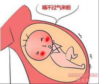 胎动一抖一抖是缺氧吗
